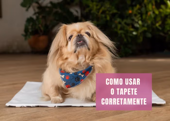 PASSO 1 — COMO USAR O TAPETE CORRETAMENTE